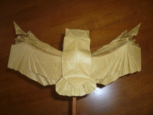 A back view of the spreader wing owl